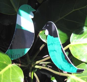 Recycled coreflute tui birds.